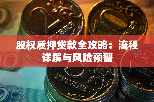 武汉股权质押贷款全攻略：流程详解与风险预警