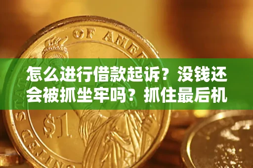 武汉怎么进行借款起诉？没钱还会被抓坐牢吗？抓住最后机会！