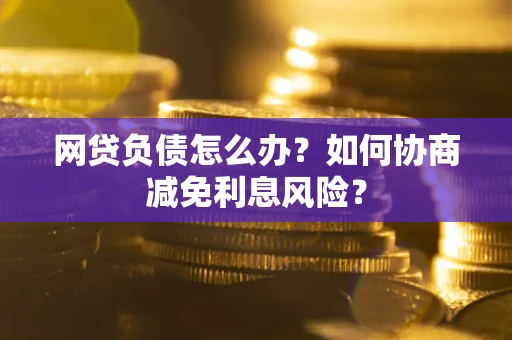 武汉网贷负债怎么办？如何协商减免利息风险？