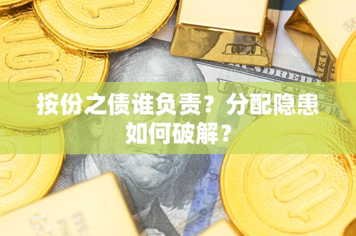 武汉按份之债谁负责？分配隐患如何破解？