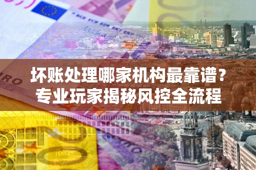 武汉坏账处理哪家机构最靠谱？专业玩家揭秘风控全流程