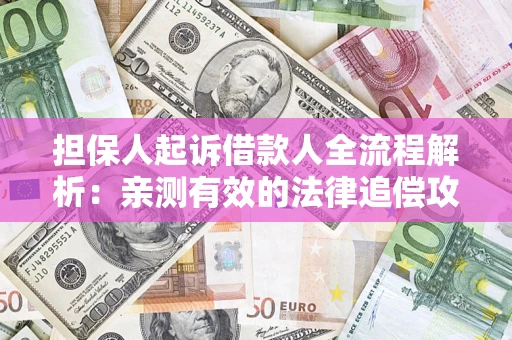 武汉担保人起诉借款人全流程解析：亲测有效的法律追偿攻略