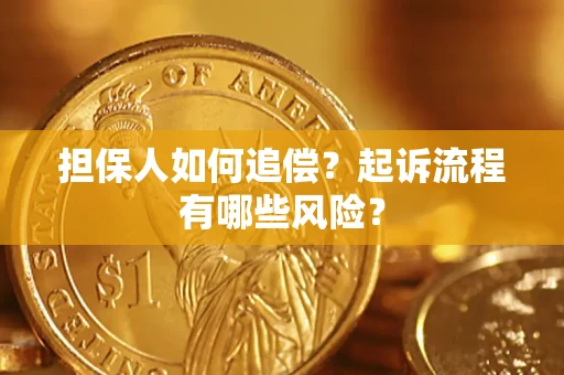 武汉担保人如何追偿？起诉流程有哪些风险？