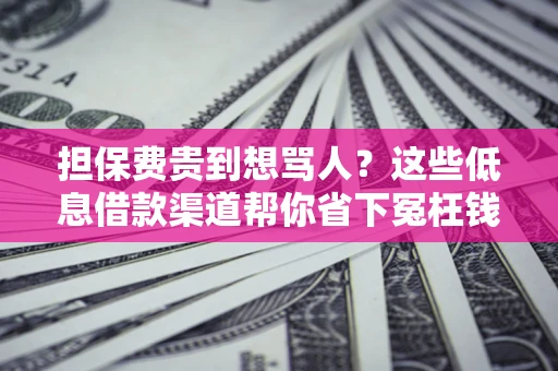 武汉担保费贵到想骂人？这些低息借款渠道帮你省下冤枉钱