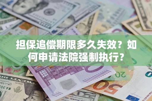 武汉担保追偿期限多久失效？如何申请法院强制执行？