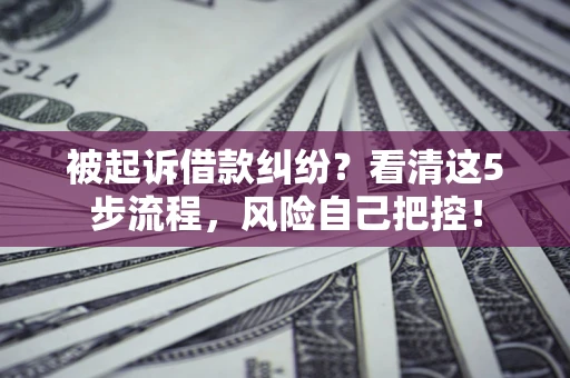 武汉被起诉借款纠纷？看清这5步流程，风险自己把控！